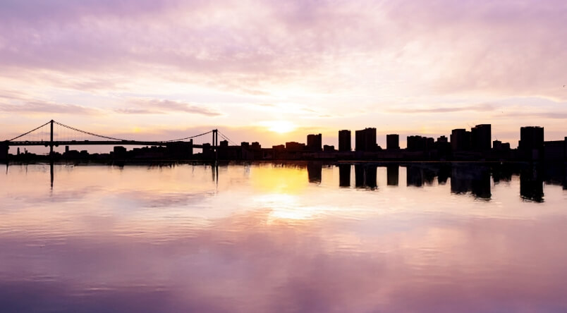 IDEAL TOP